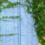 La Maison Aux Puits 3* Cordes-sur-Ciel