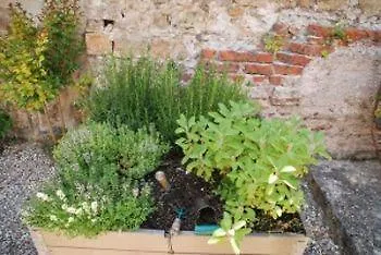 La Maison Au Puits Gasthof Cordes-sur-Ciel