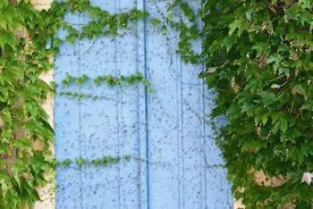 La Maison Au Puits * Cordes Sur Ciel